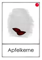 Vorschau - Bildkarten - Bildkarten Apfel - Seite 2