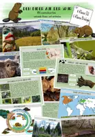 Vorschau - Merkblätter - Biber Wissenskartei - Infokärtchen rund um den Biber - Deckblatt