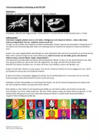 Vorschau - Arbeitsblätter - Tontrennung im Pop-Art-Stil - Deckblatt