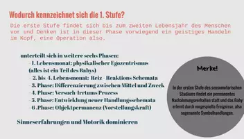 Vorschau - Stundenentwürfe - Stundenentwurf: Das Stufenmodell der kognitiven Entwicklung nach Jean Piaget - Präsentation - Seite 2