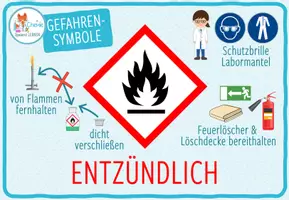 Vorschau - Poster - Gefahrensymbole – 10x Poster - Seite 3