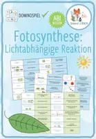Vorschau - Spiele - Fotosynthese: Lichtabhängige Reaktion - 2x Domino Spiele (Abitur) - Deckblatt