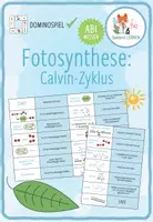Vorschau - Spiele - Fotosynthese: Calvin Zyklus - Domino Spiel (Abitur) - Deckblatt