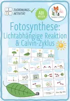 Vorschau - Spiele - Fotosynthese: Lichtabhängige Reaktion und Calvin-Zyklus - Zuordnungsaktivität (Abitur) - Deckblatt