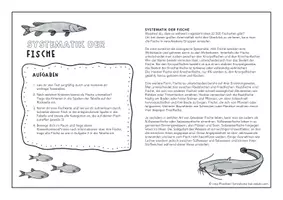 Vorschau - Arbeitsblätter - Systematik der Fische - Text und Kooperative Lernmethode - Seite 1