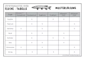 Vorschau - Arbeitsblätter - Systematik der Fische - Text und Kooperative Lernmethode - Seite 3