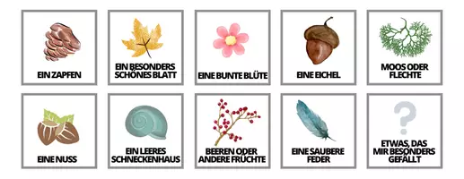 Vorschau - Mal- und Bastelvorlagen - Materialpaket Naturforscher*innen 6-12J. - Deckblatt