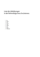 Vorschau - Fördermaterial/Inklusion - Wortschatz DaZ Waldtiere - Tiere im Wald - Reine Bildkarten mit Artikelpunkten zur Sprachförderung in Kindergarten Kita Vorschule Vorkurs (DIN A4) - Seite 2