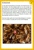 Vorschau - Stationenlernen - Bienen - Seite 1