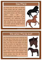 Vorschau - Stationenlernen - Wissenskarten-Pferd - Seite 2