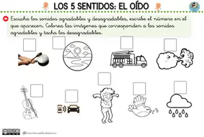 Vista previa - Hojas de trabajo - FICHA SENTIDO DE LA VISTA GENIALLY - página 3