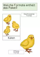 Vorschau - Präsentationen/Tafelbilder - Tafelmaterial - Entwicklung des Kükens - Seite 1