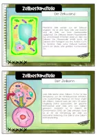 Vorschau - Merkblätter - Infotextezum Aufbau einer Zelle (Zellbestandteilen) - Seite 3