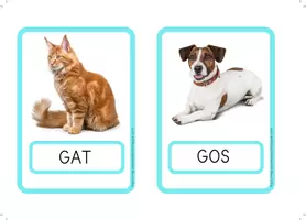 Vista previa - Tarjetas / Manipulativos - Lectura global en lletra de PAL: Els animals. - página 2