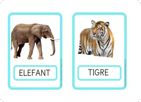 Vista previa - Tarjetas / Manipulativos - Lectura global en lletra de PAL: Els animals. - página 3