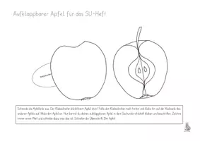 Vorschau - Arbeitsblätter - Materialpaket Apfel - Seite 2