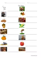 Vorschau - Arbeitsblätter - DaZ- Material zum Wortschatz: "Herbst" - Seite 2