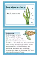 Vorschau - Stationenlernen - Meerestierkartei - Deckblatt