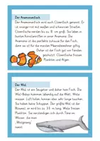 Vorschau - Stationenlernen - Meerestierkartei - Seite 1