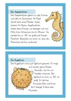 Vorschau - Stationenlernen - Meerestierkartei - Seite 3