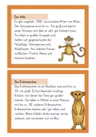 Vorschau - Stationenlernen - Wildtier Kartei - Seite 2