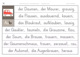 Vorschau - Arbeitsblätter - Konzentriertes Wortschatz- und Rechtschreibtraining - Wörter mit AU - Seite 3