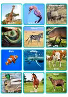 Vista previa - Unidades / Secuencias / Situaciones de Aprendizaje - Animal Habitat Sorting Activity with Real Pictures - página 2