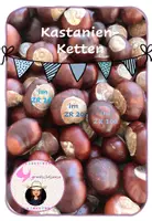 Vorschau - Aufgabenkarten - Kastanienketten - zähle, rechnen & zuordnen - Deckblatt