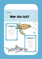 Vorschau - Spiele - Kartenspiel Meerestiere - Wer bin ich? - Deckblatt