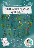 Vorschau - selbst erstellte Cliparts/Grafiken - Cliparts-Set "Wiesenpflanzen" / heimische Pflanzen / Wiese - Deckblatt
