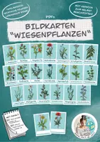Vorschau - selbst erstellte Cliparts/Grafiken - Bildkarten "Wiesenpflanzen" / Wiese (auch zum selbst beschriften!) - Deckblatt
