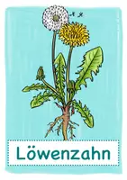 Vorschau - selbst erstellte Cliparts/Grafiken - Bildkarten "Wiesenpflanzen" / Wiese (auch zum selbst beschriften!) - Seite 1