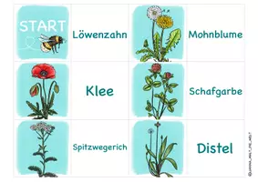 Vorschau - Spiele - Legespiel Domino & Lese-Zuordnungsspiel "Wiesenpflanzen" - Seite 1