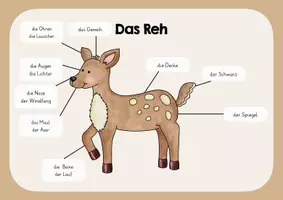 Vorschau - Poster - Das Reh - Lernplakat - Deckblatt