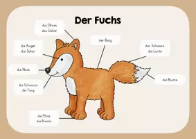 Vorschau - Poster - Der Fuchs - Lernplakat - Deckblatt