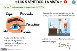Vista previa - Unidades / Secuencias / Situaciones de Aprendizaje - FICHAS LOS 5 SENTIDOS (G) - Portada