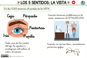 Vista previa - Unidades / Secuencias / Situaciones de Aprendizaje - FICHAS LOS 5 SENTIDOS (G) - página 1