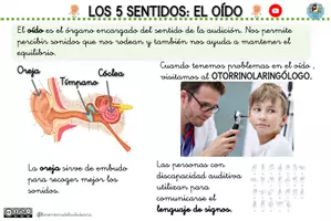 Vista previa - Unidades / Secuencias / Situaciones de Aprendizaje - FICHAS LOS 5 SENTIDOS (G) - página 3