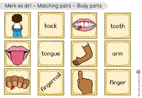 Vorschau - Spiele - Body Parts Matching Pairs & erweiterbare Spielekartei - Seite 2
