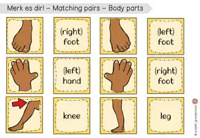 Vorschau - Spiele - Body Parts Matching Pairs & erweiterbare Spielekartei - Seite 3