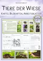 Vorschau - Unterrichtsreihen - Tiere der Wiese - Kartei, Arbeitsblätter, Bildkarten - Deckblatt