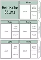 Vorschau - Arbeitsblätter - HEIMISCHE BÄUME - Leporello (farbig und schwarz-weiß) - Seite 2