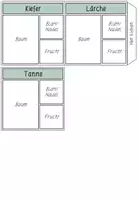 Vorschau - Arbeitsblätter - HEIMISCHE BÄUME - Leporello (farbig und schwarz-weiß) - Seite 3