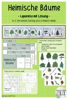Vorschau - Arbeitsblätter - HEIMISCHE BÄUME - Leporello (farbig und schwarz-weiß) - Deckblatt