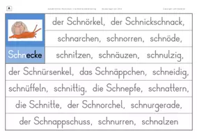 Vorschau - Arbeitsblätter - Konzentriertes Wortschatz- und Rechtschreibtraining - Wörter mit SCHN - Seite 3