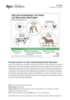 Vorschau - Arbeitsblätter - Pandemien bei Zoonosen (Grafik-Paket) - Seite 3