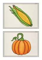 Vorschau - Bildkarten - Bild- und Wortkarten "Thanksgiving" - Seite 3
