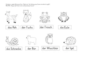 Vorschau - Arbeitsblätter - Übungspaket zu den Waldtieren - Seite 3
