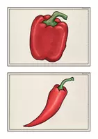 Vorschau - Bildkarten - Bild- und Wortkarten "Vegetables" - Seite 1