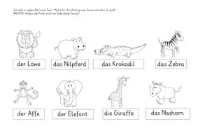 Vorschau - Arbeitsblätter - Übungspaket zu den Wildtieren - Seite 3